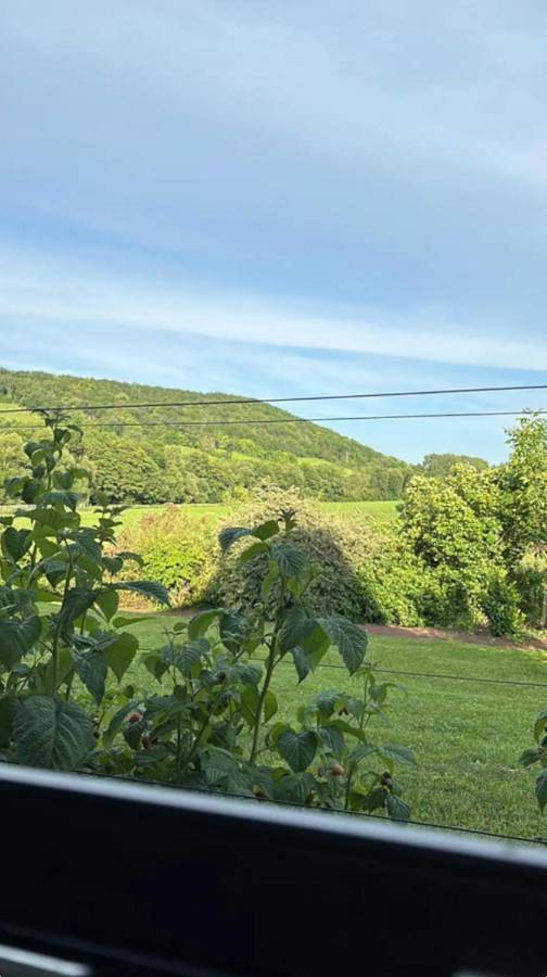 Gîte pour 5 personnes, avec vue et terrasse à Bœrsch - 2