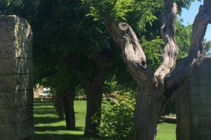 Location de vacances pour 6 personnes à Vila Flor - 4