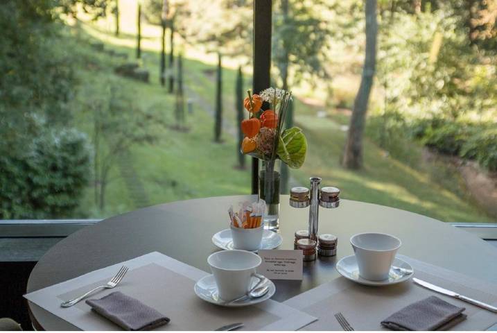 Hôtel pour 2 personnes, avec jardin et piscine ainsi que sauna et jacuzzi à Charbonnières-les-Bains - 3