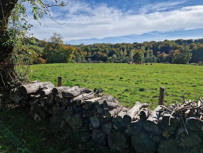 Location de vacances pour 8 personnes, avec jardin ainsi que terrasse et piscine, animaux acceptés à Cassuéjouls - 2