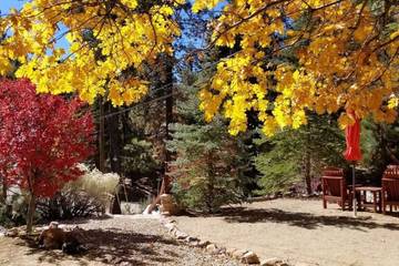 Holiday Home for 14 People in Snow Summit, Big Bear Lake, Photo 2