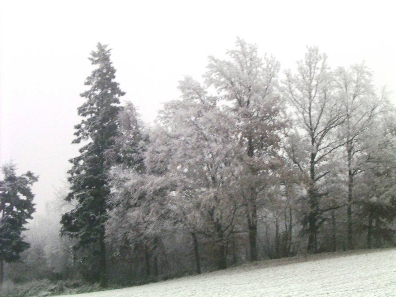Ganze Ferienwohnung, Ferienwohnung in Haidach - Ferienwohnung in Haidach in Seewalchen am Attersee, Traunviertel