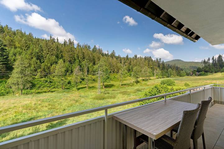 Ferienwohnung für 4 Personen, mit Balkon und Garten in Nationalpark Schwarzwald