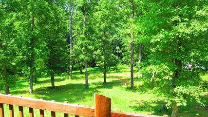 Cottage for 5 Guests in North Carolina, USA, Picture 3