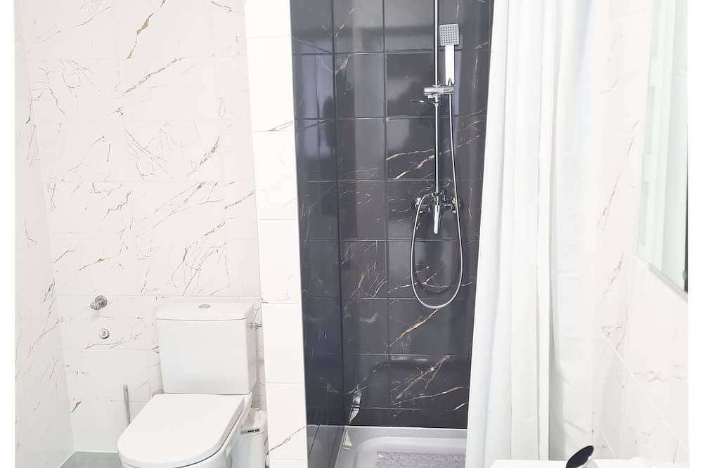 Ganze Wohnung, Souvenirappart Sienkiewicza 3C in Bromberg, Kujawien-Pommern