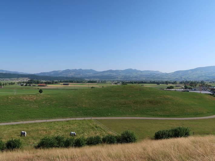 Ganze Wohnung, Luxenweid in Kanton Schwyz