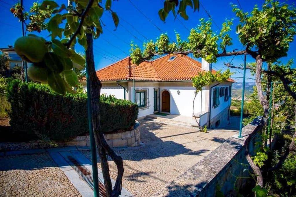 Villa in Lamego, Vale do Douro