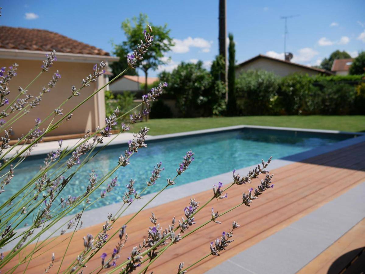 Appartement entier, Perfect Studio - au calme avec terrasse, jardin, piscine in Libourne, Région de Libourne