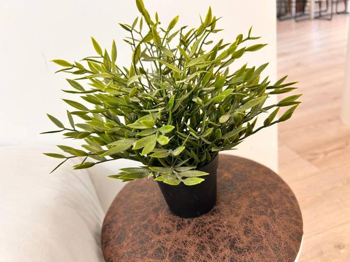 Gîte pour 6 personnes dans Gare De Saint Raphael Valescure - 4