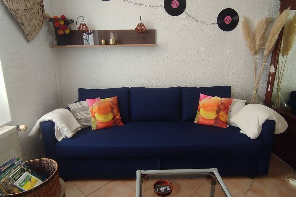 Appartement entier, Proche de Tours en voiture, Studio plein pied avec cour privée, animaux acceptés in Fondettes, Région de Tours