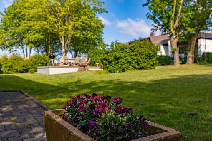 Ferienwohnung für 4 Personen, mit Terrasse und Garten sowie Ausblick in Halbinsel Holnis - 3