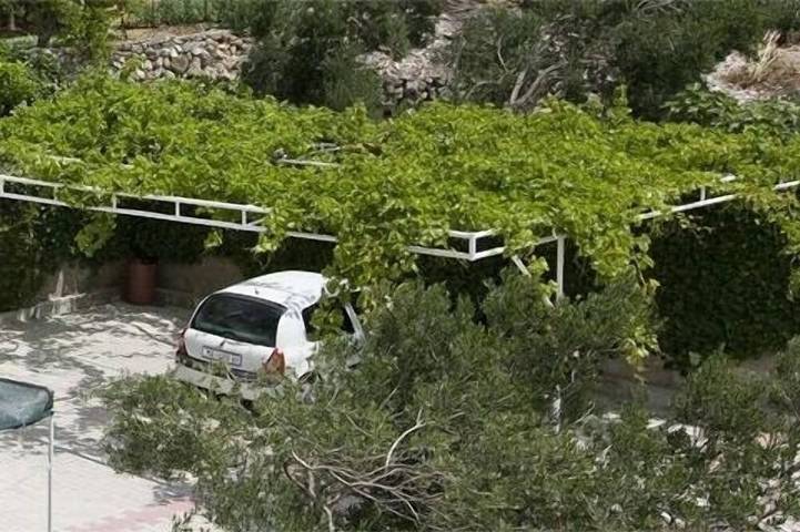 Appartamento intero, Monolocale con aria condizionata Igrane (Macarsca - Makarska in Igrane, Makarska Riviera