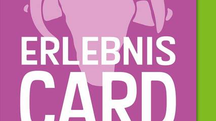 Ferienwohnung für 4 Personen in Bispingen, Landkreis Heidekreis, Bild 2