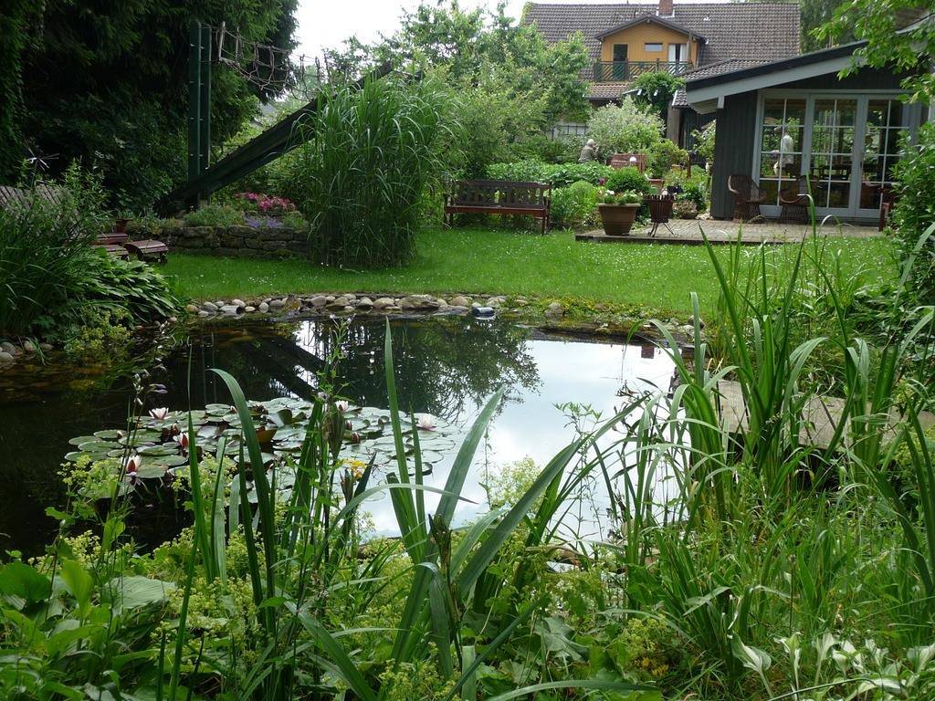 Gartenlust: 4-Bettwohnung in Dierdorf, Rheinland-Pfalz