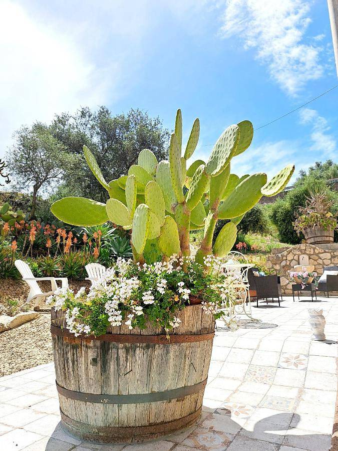 Gîte pour 4 personnes, avec jardin, animaux acceptés à Licata - 3