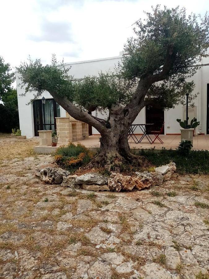 Casa vacanza per 2 persone, con panorama e giardino, con animali domestici a Mottola