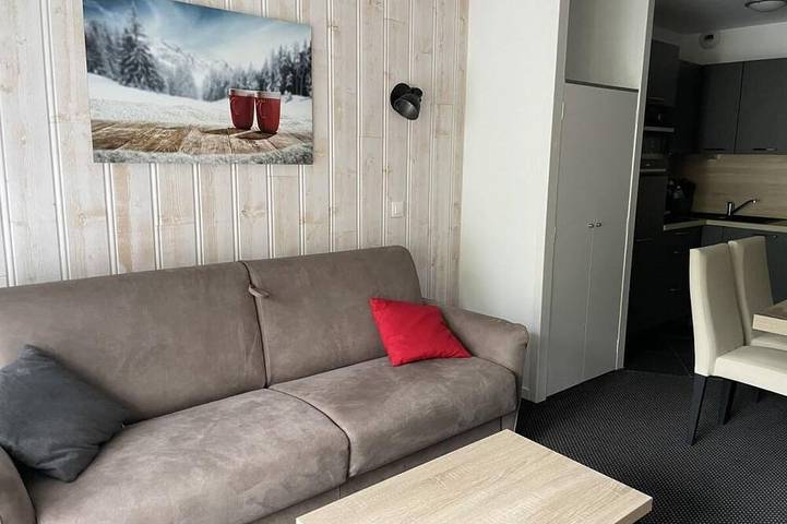 Entire apartment, 150m from ski slopes, 2nd floor, view ski slopes, swimming pool, terrace, tv, ski locker, 29m² in Gourette, Eaux-Bonnes