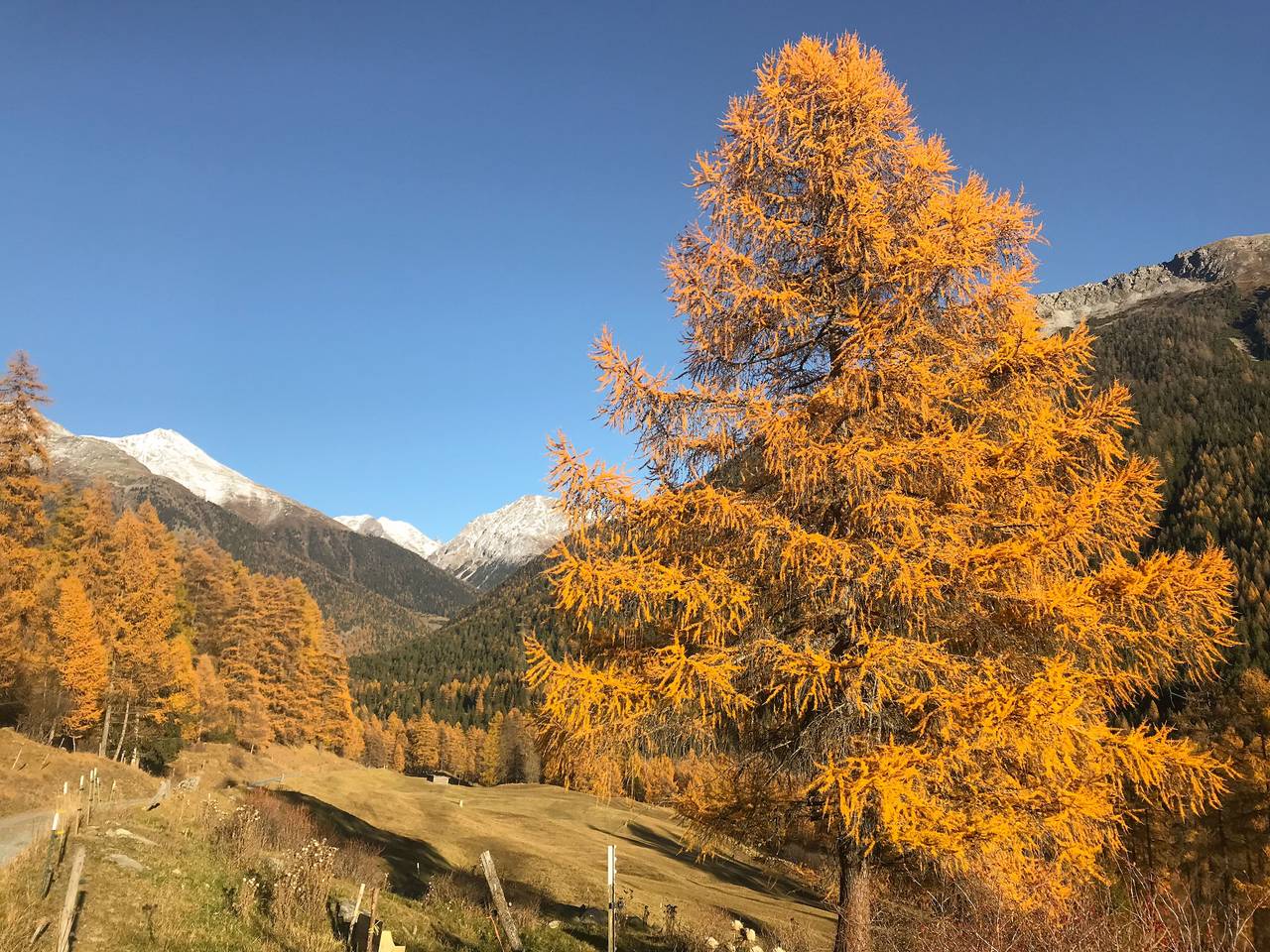 Ganze Ferienwohnung, Ferienwohnung Planta Chasa Jenal - Fewo Planta Chasa Jenal in Zernez, Unterengadin