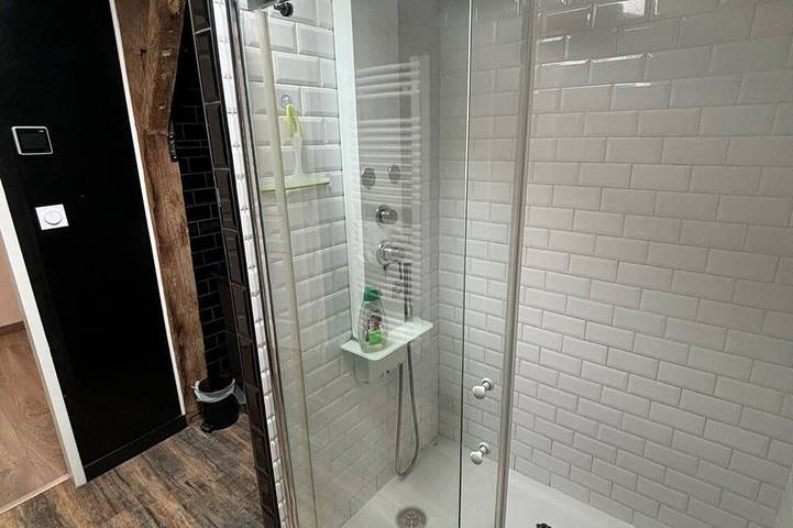 Location de vacances pour 15 personnes, avec jacuzzi et jardin à Faudoas - 4