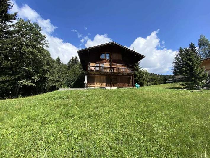 Location de vacances pour 6 personnes, avec jardin dans Les Diablerets - 4