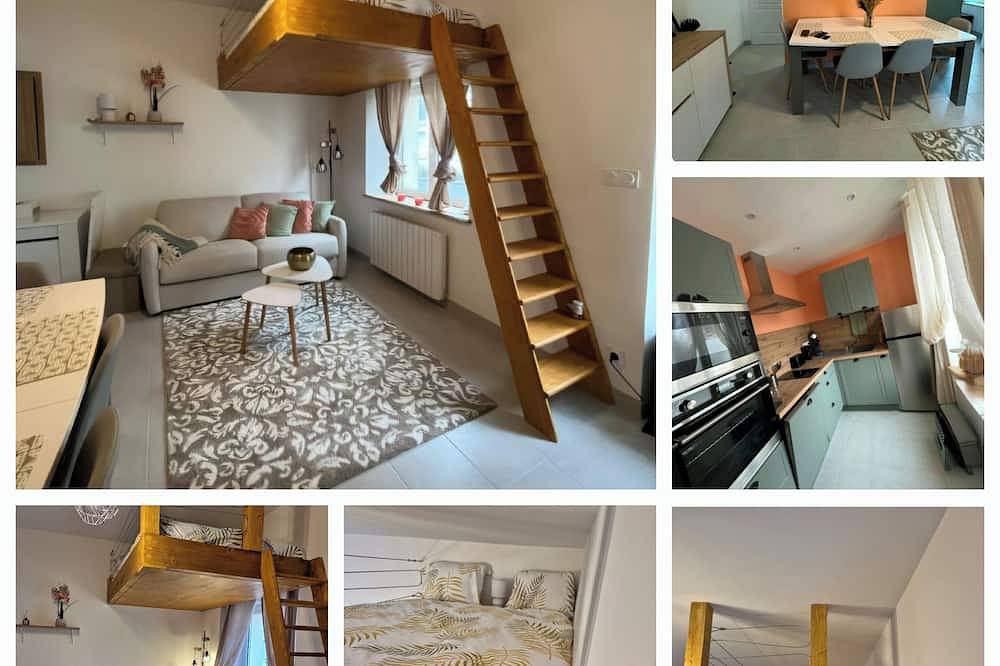 Entire apartment, The little \"Sunshine\" cosy in Romorantin-Lanthenay, Sologne