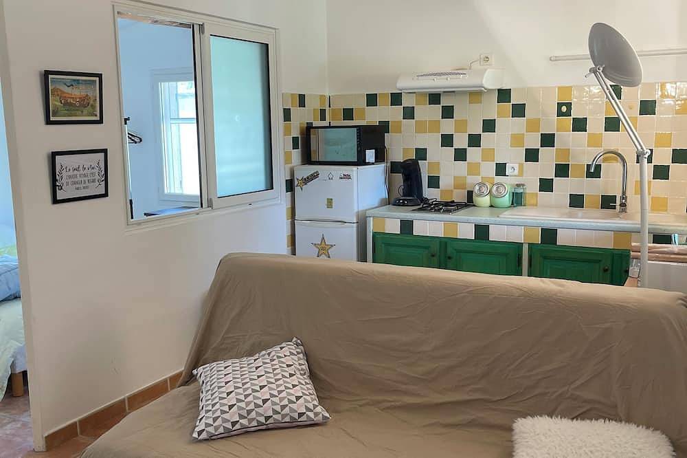 Small semi-detached house in the Camargue on the banks of the Petit Rhône in Vauvert, Region de Nimes