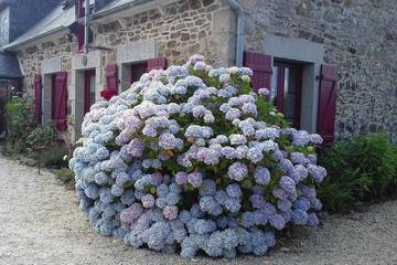 Gîte pour 2 personnes, avec jardin à Ploëzal