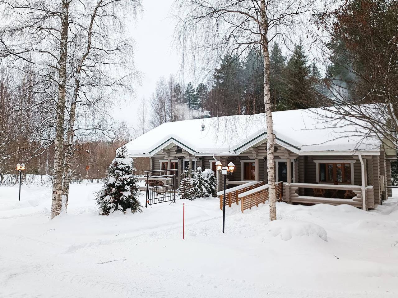 Purnutar b in Koli, Pielinen