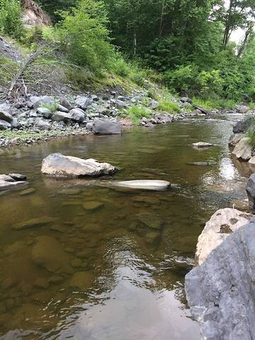 Log Cabin for 3 Guests in Catskill Mountains, Ulster County, Picture 3