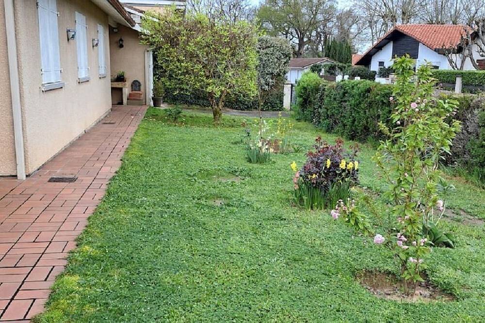 Quiri45-40000 in Landes