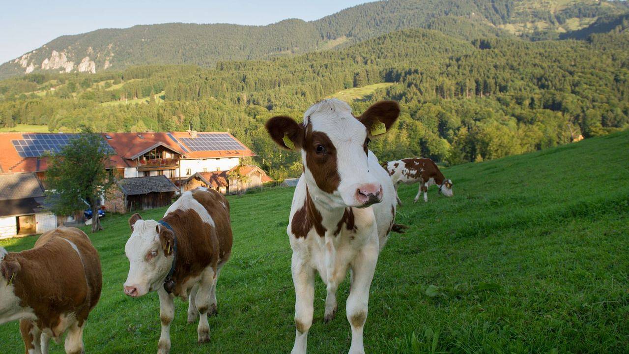 Doppelzimmer für 2 Personen in Samerberg in Samerberg, Bayerische Alpen