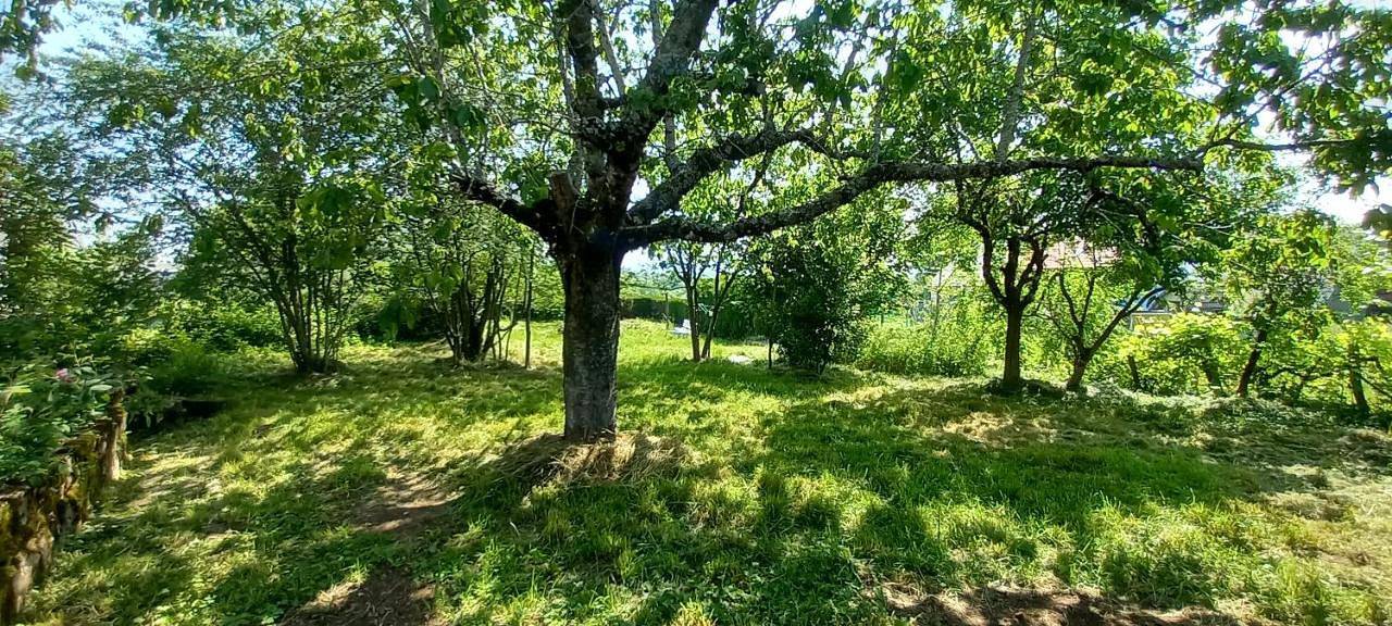 Appartement de vacances entier, Chambres d'hôtes Imago in Sainte-Eulalie (Cantal), Parc naturel régional des Volcans d'Auvergne