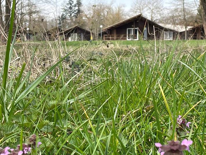 Camping pour 6 personnes, avec Terrasse ainsi que Jardin et Vue