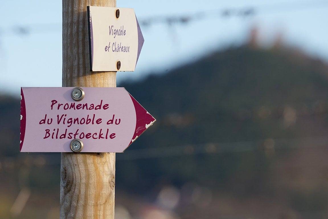 Chambres d'hôtes Belle-Vue - Chambre 3 in Vœgtlinshoffen, Parc naturel régional des Ballons des Vosges