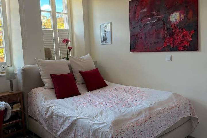 Appartement entier, La Petite vacation apartment directly on the Moselle in Trèves (Ville), Trèves
