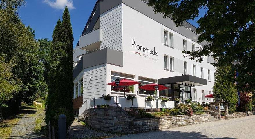 Hotel in Bad Steben - 2