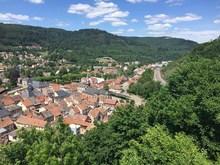 Appartement entier, Schirmeck centre appartement au pied du château in Schirmeck, Bas-Rhin Alsace