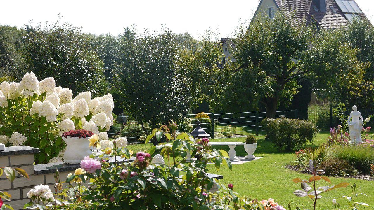 Apartamento vacacional entero, Ferienwohnung für 3 Personen (85 m²) in Bad Driburg in Bad Driburg, Distrito de Höxter