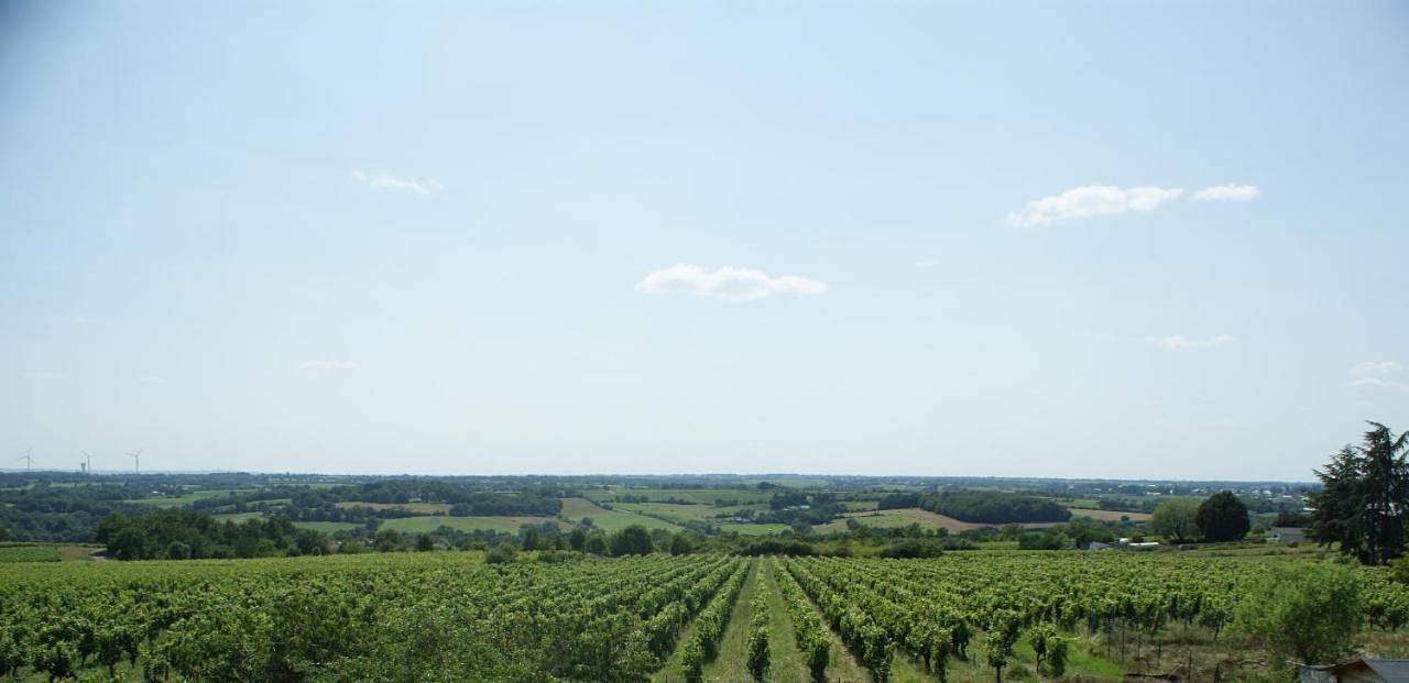 Domaine des Ortinieres in Beaulieu-sur-Layon, Vallée de la Loire