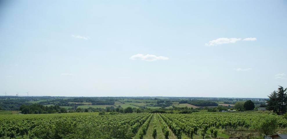 Location de vacances pour 12 personnes, avec piscine ainsi que jardin et terrasse à Beaulieu-sur-Layon - 3