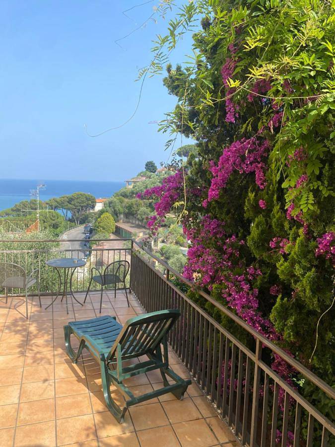 Ulivo in Diano Marina, Commune de Diano Marina