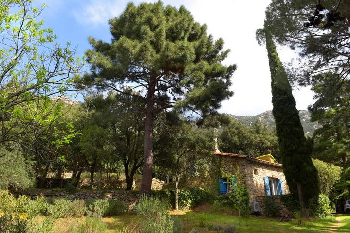 Casa de huéspedes para 4 personas, con terraza y jardín - 1