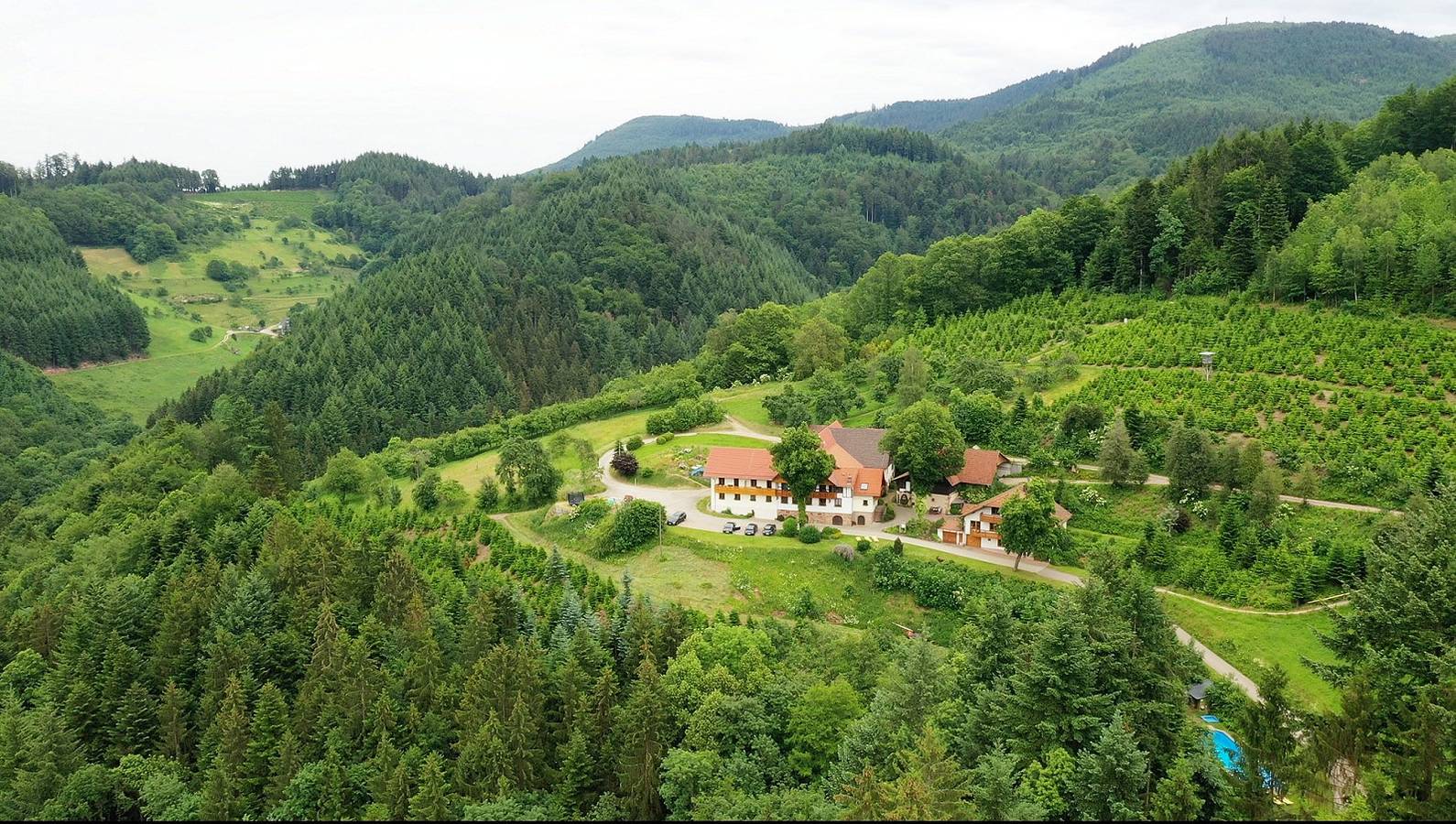 Ganze Ferienwohnung, Ferienhof Hölzleberg - Ferienzimmer "Bauernstube" mit separater Küche in Durbach, Mittlerer Schwarzwald
