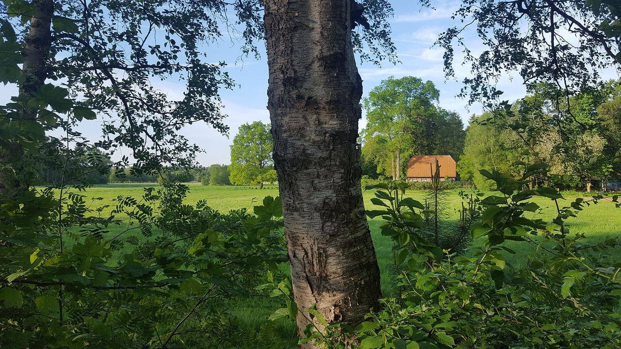 Ferienhaus für 2 Personen (120 m²) in Rotenburg (Wümme) in Rotenburg, Landkreis Rotenburg (Wümme)