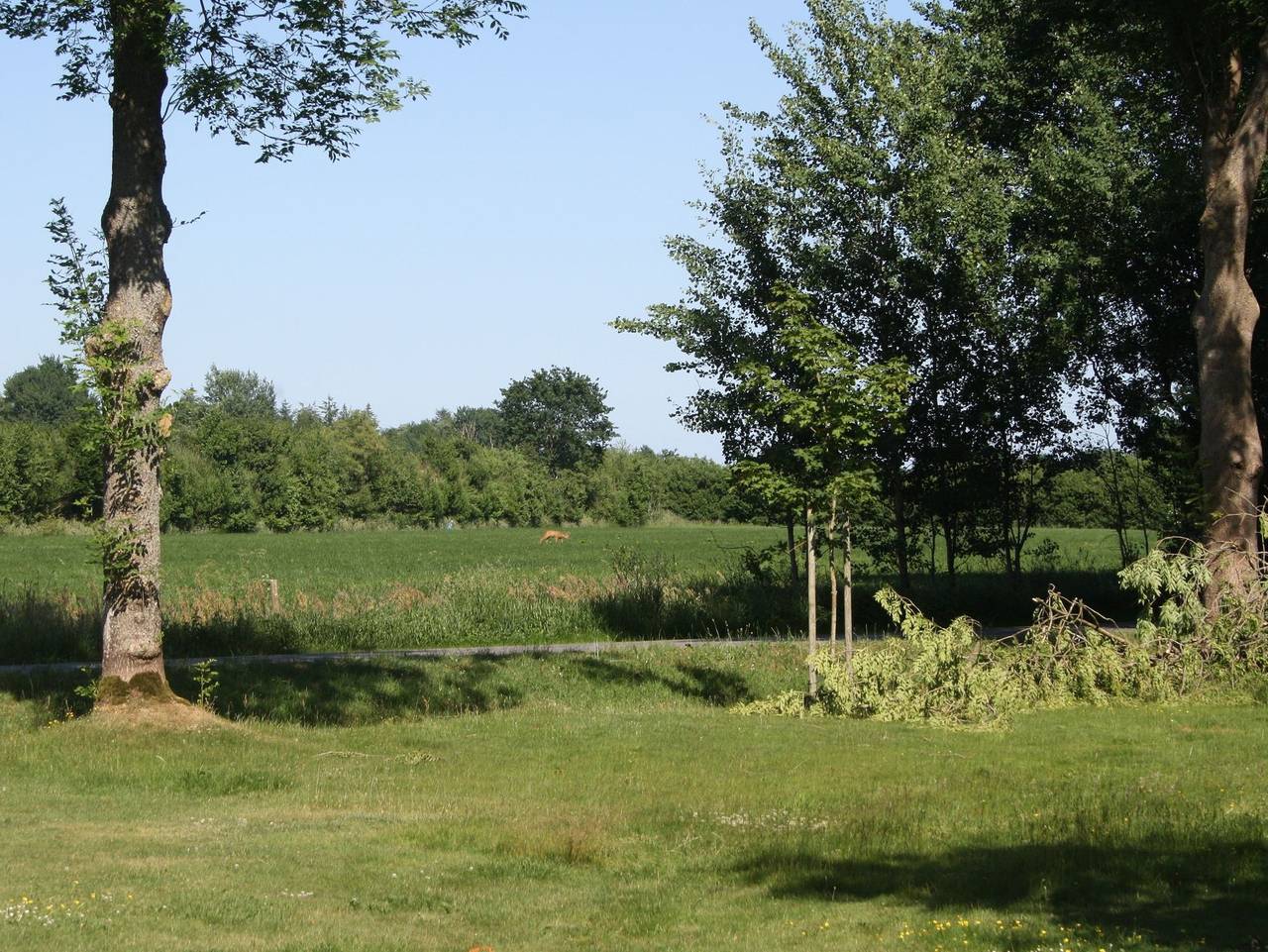 Ganze Ferienwohnung, Detjens: Fewo in ruhiger Lage mit Terrasse und Garten - Ferienwohnung Detjens in Ellingstedt, Haithabu
