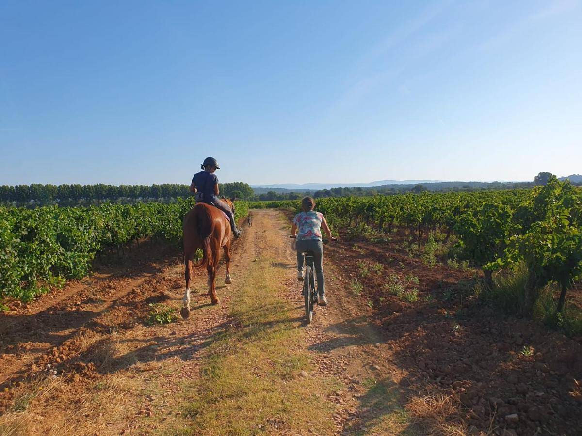 Double or Twin Room with View in Carcès, Région de Brignoles