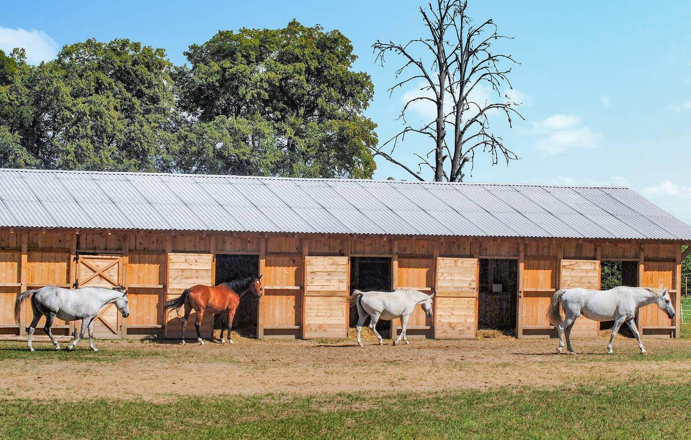 Cały apartament wypoczynkowy, Apartament wakacyjny dla 6 osób z taras in Bory Tucholskie