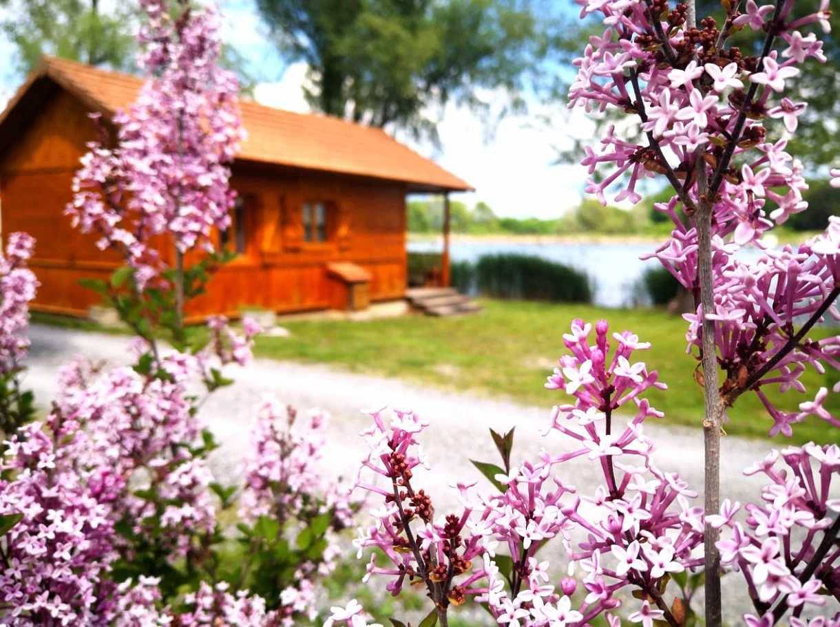Chalet 2 étoiles - ef0bdg in La Freissinouse, Gap region