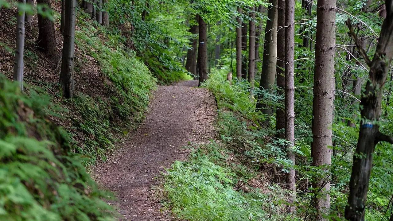 Hus för 8 Personer med terass in Jämtland