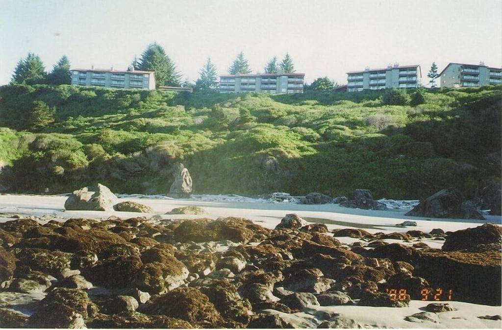 Ganze Wohnung, Jaw-Dropping View, Wanderwege, Familie, Tag zur freien Verfügung, Kamin, Privatstrand, mit einem Gatter versehen und sauber in Curry County